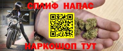 шишки Конаково