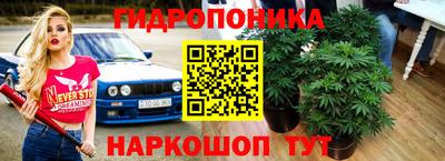 шишки Конаково