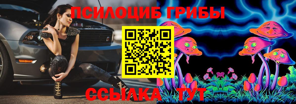 как найти наркотики  Галлюциногенные грибы мухоморы  Вход с VPN  Красногорск 